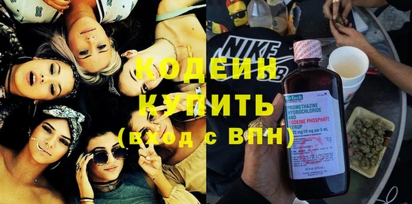 хмурый Кодинск