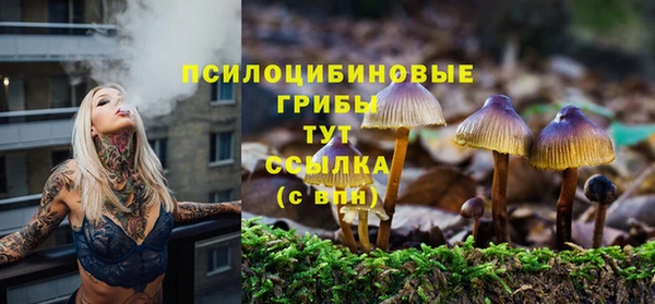 COCAINE Козельск