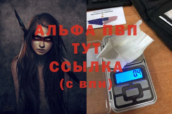 хмурый Кодинск