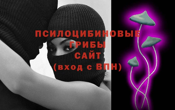 хмурый Кодинск
