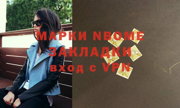 хмурый Кодинск