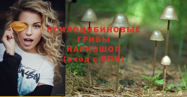 COCAINE Козельск