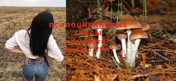 COCAINE Козельск