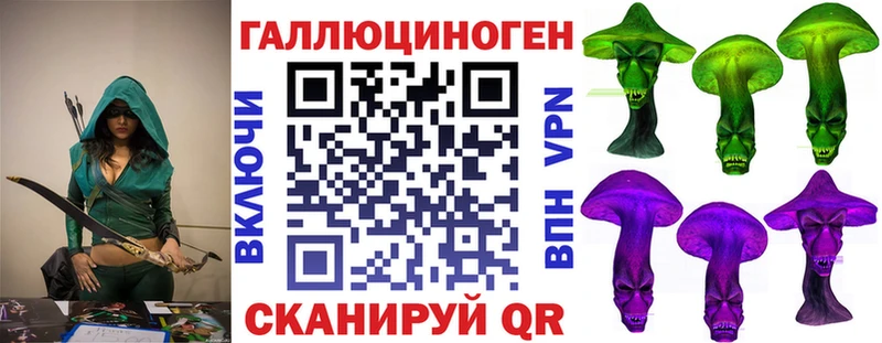 Галлюциногенные грибы MAGIC MUSHROOMS  Купить где  Енисейск 